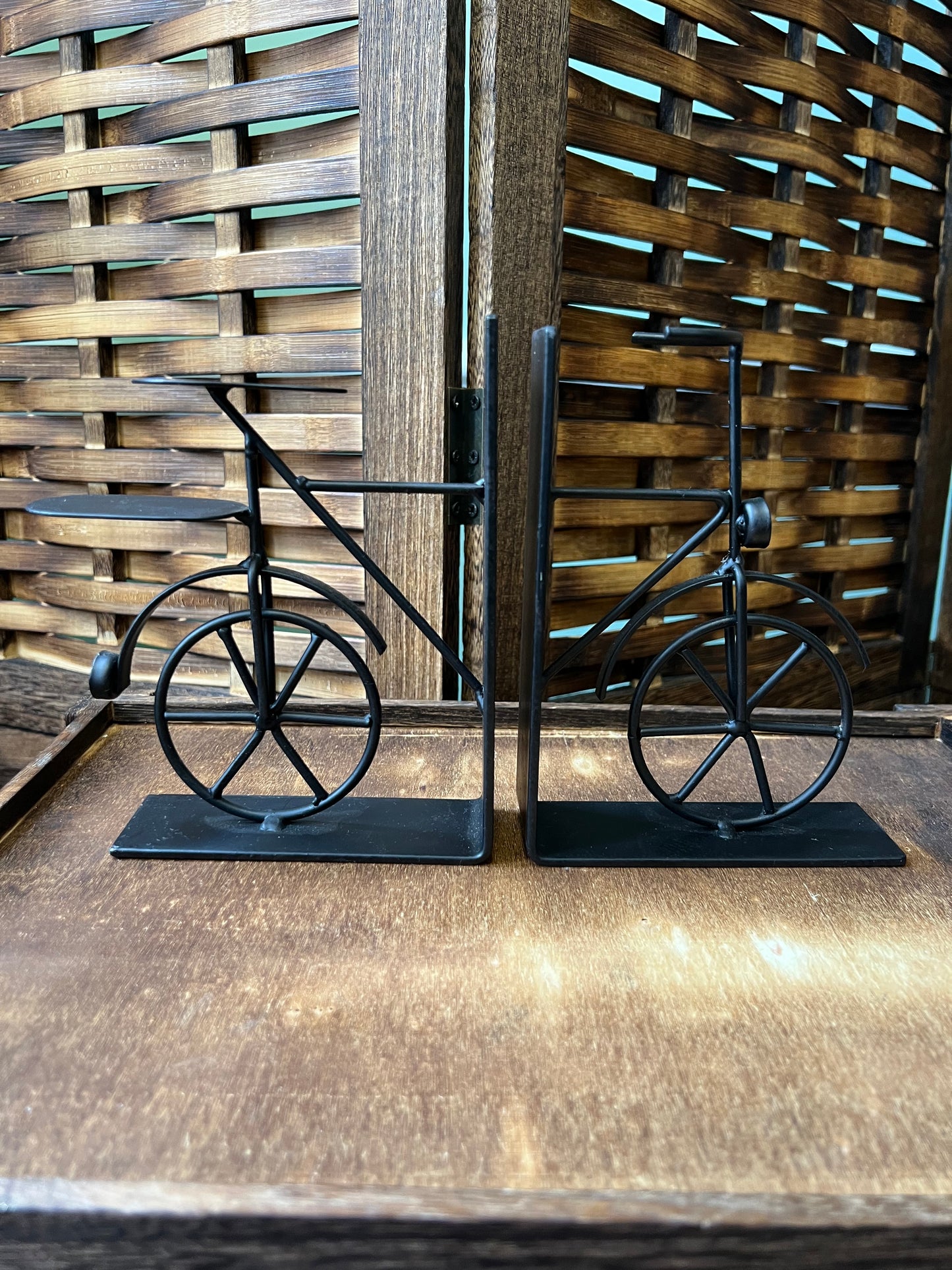 Bicycle Bookends