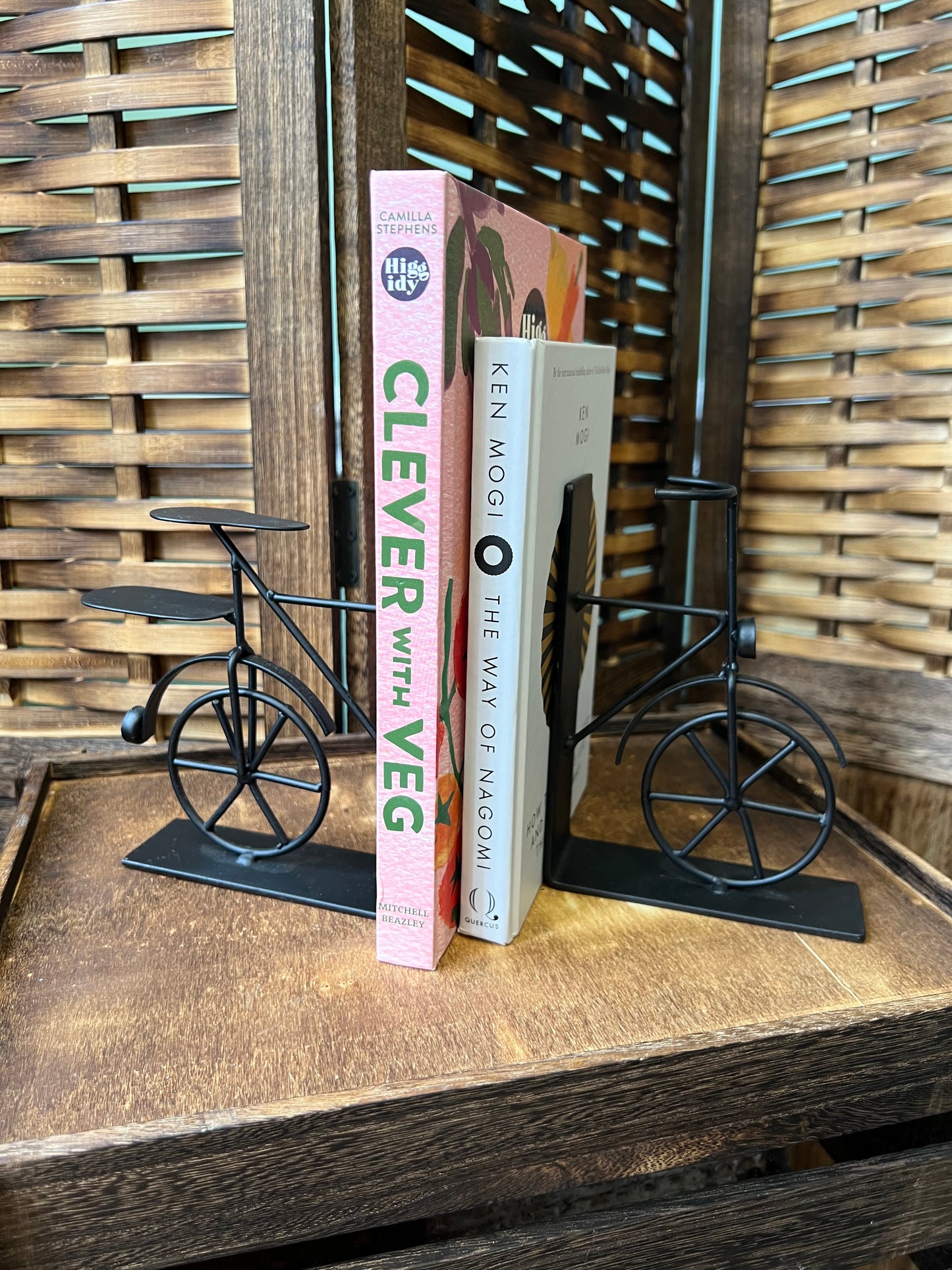 Bicycle Bookends
