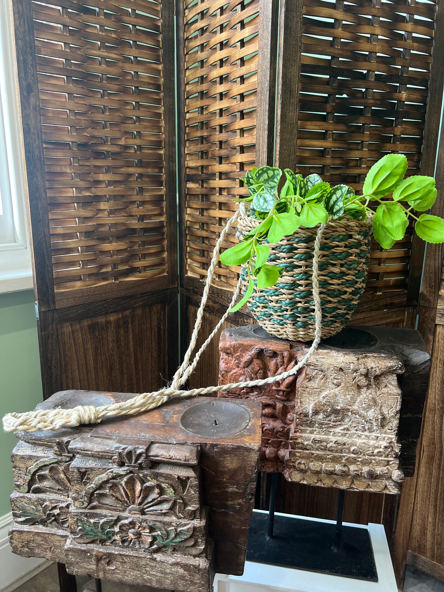 Hogla Hanging Planter