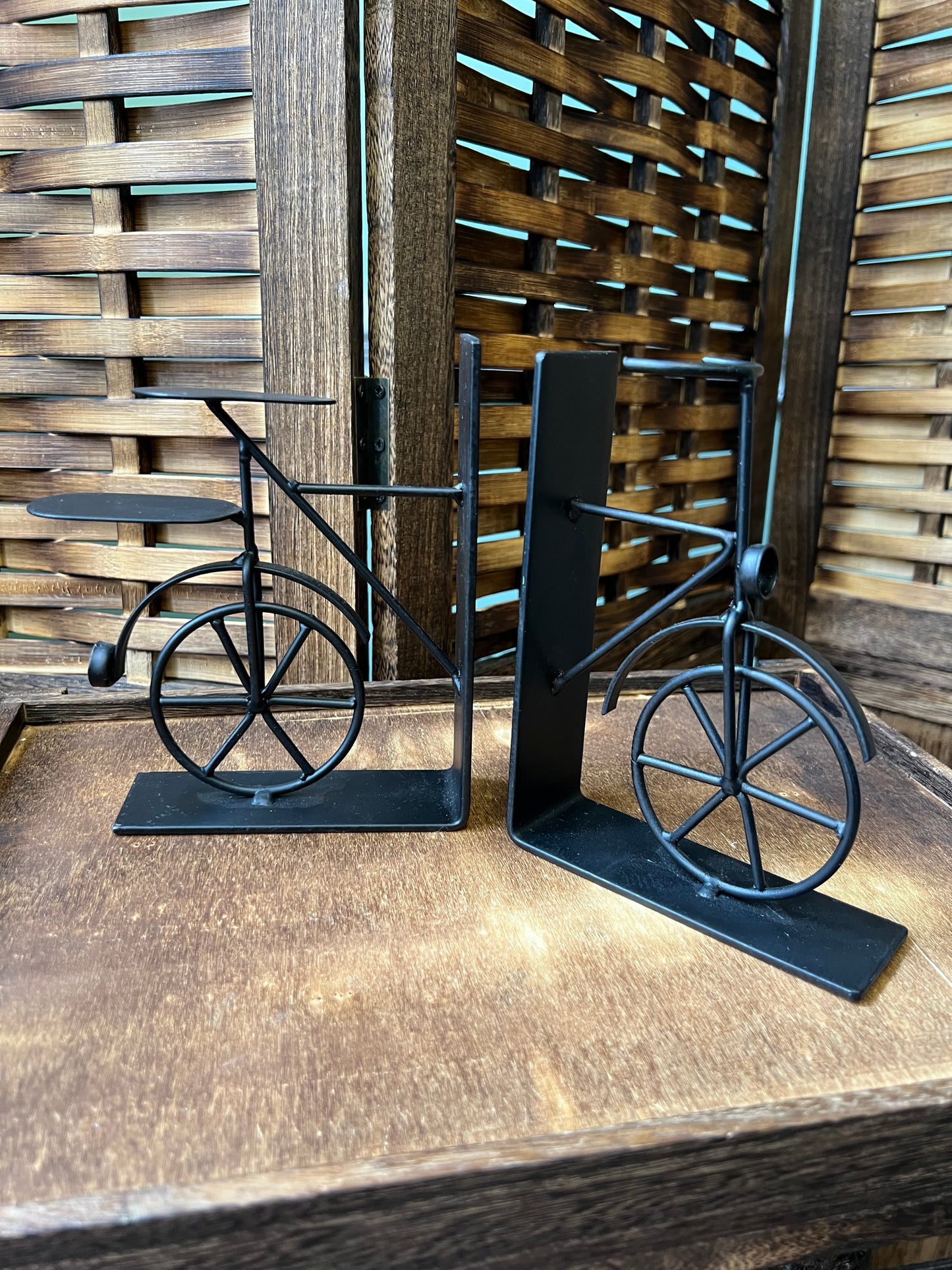 Bicycle Bookends
