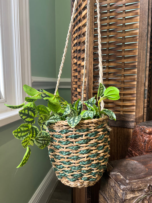 Hogla Hanging Planter