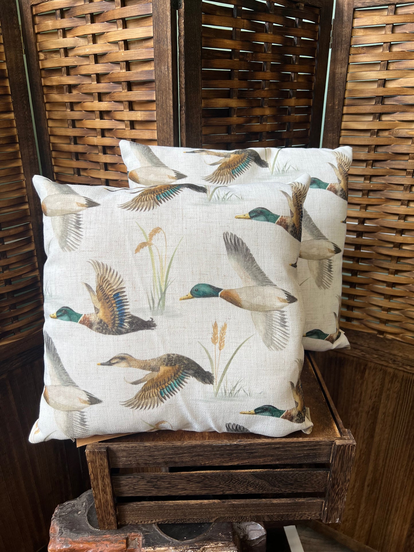Country Duck Pond Cushion