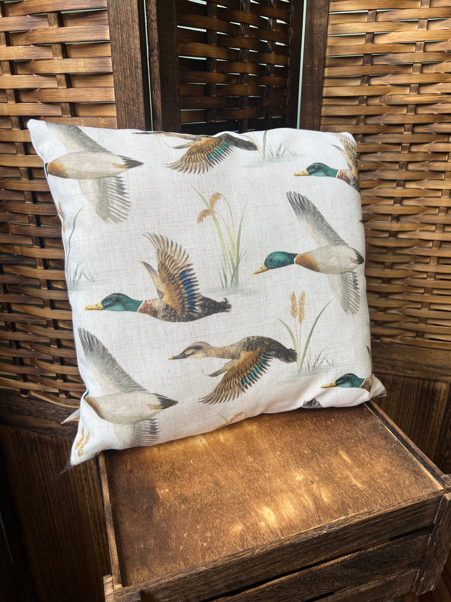 Country Duck Pond Cushion
