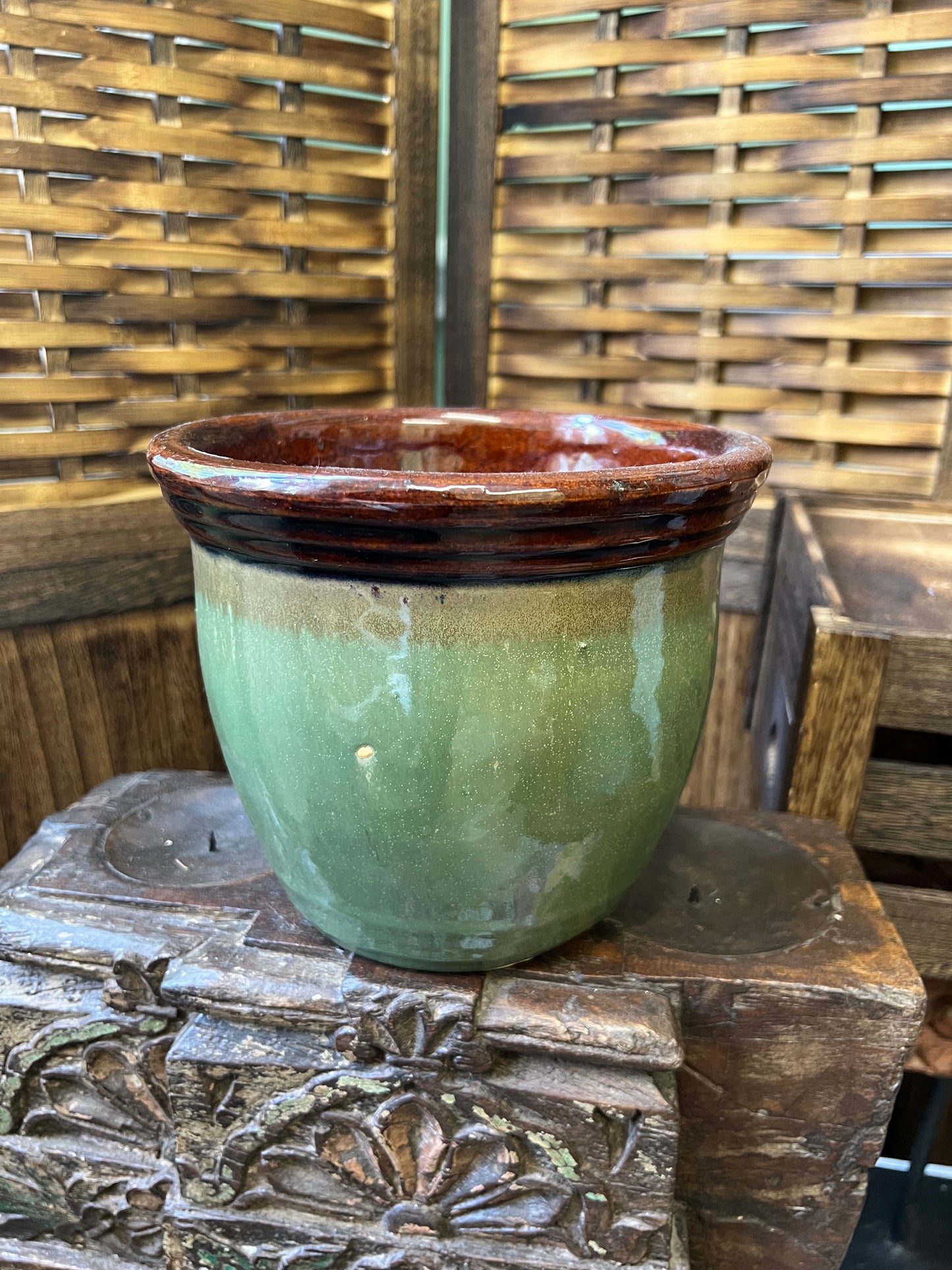 Light Green and Brown Plant Pot