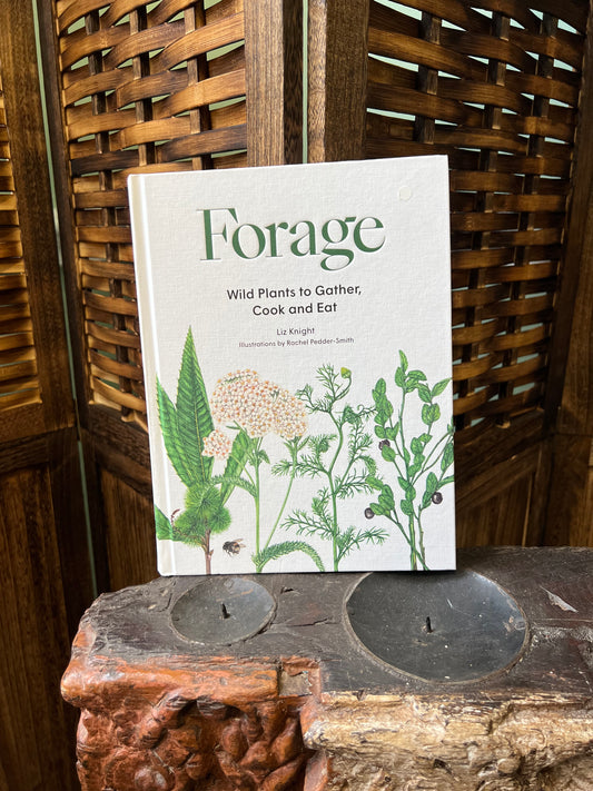Forage: Wild plants to gather and eat