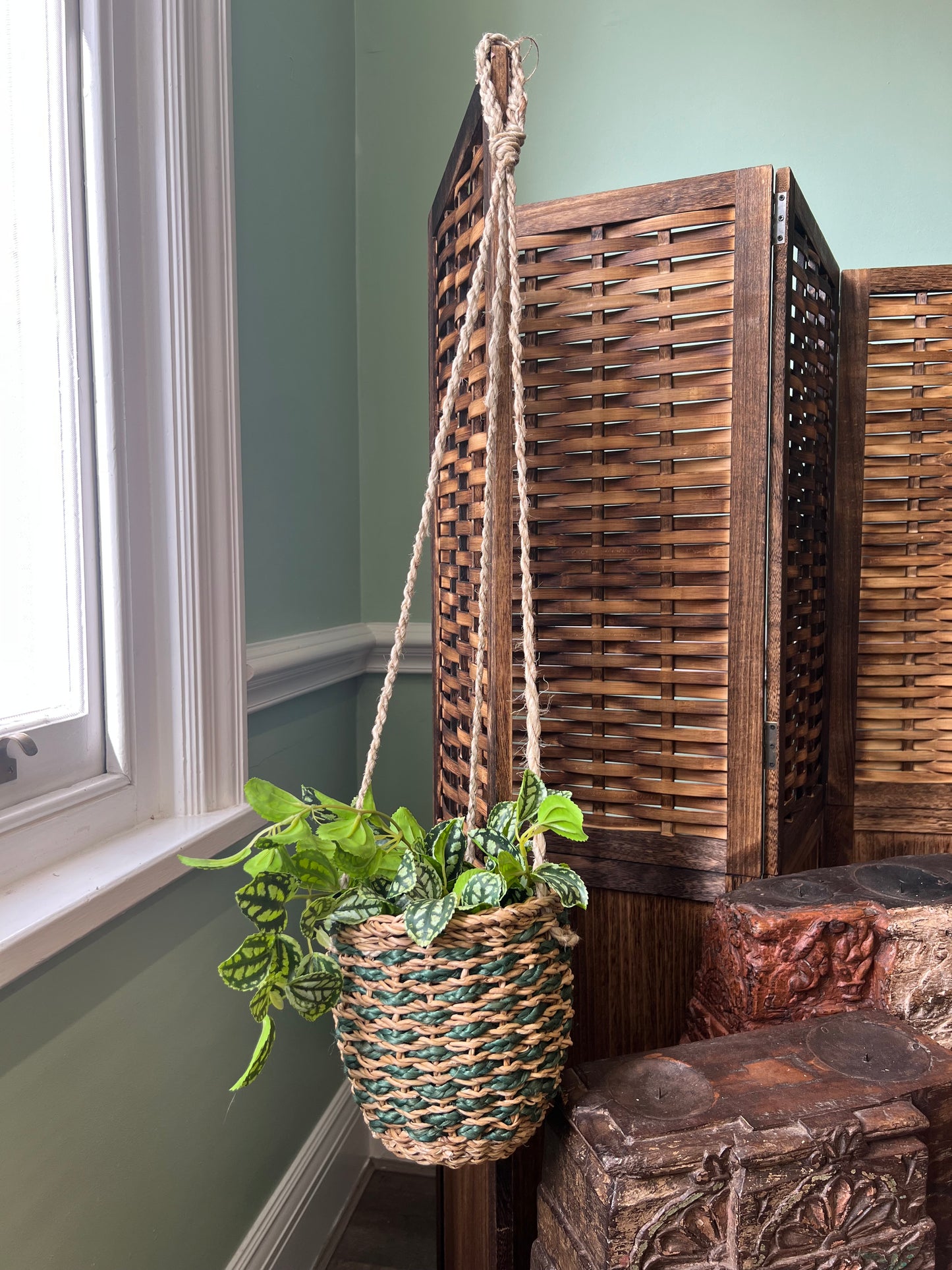 Hogla Hanging Planter